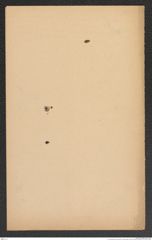 k.k. naturhistorisches Hofmuseum, Intendanzakten 1885-1896 (Hauer), Aktenzahl Z.273.e/1891, Seite 4